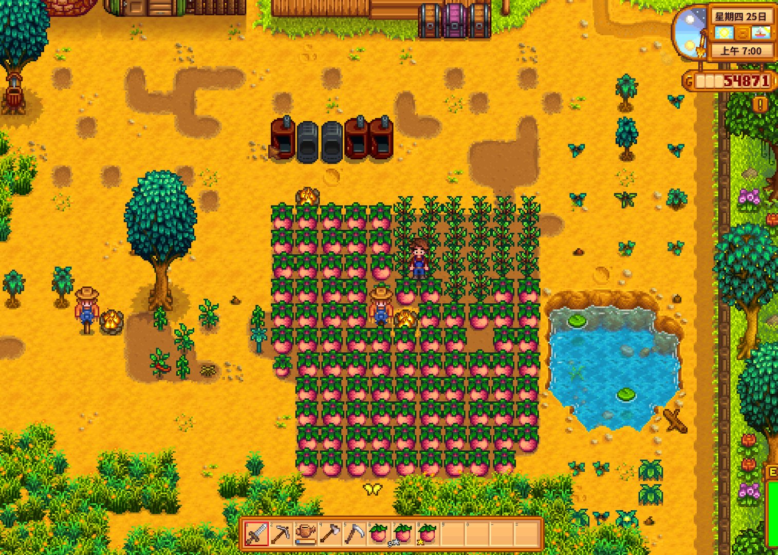 只狼：影逝二度 完整版 截图10