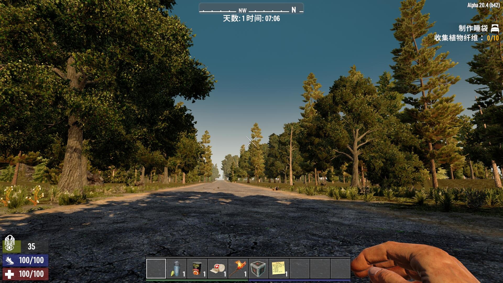 泰拉瑞亚 豪华版 截图4