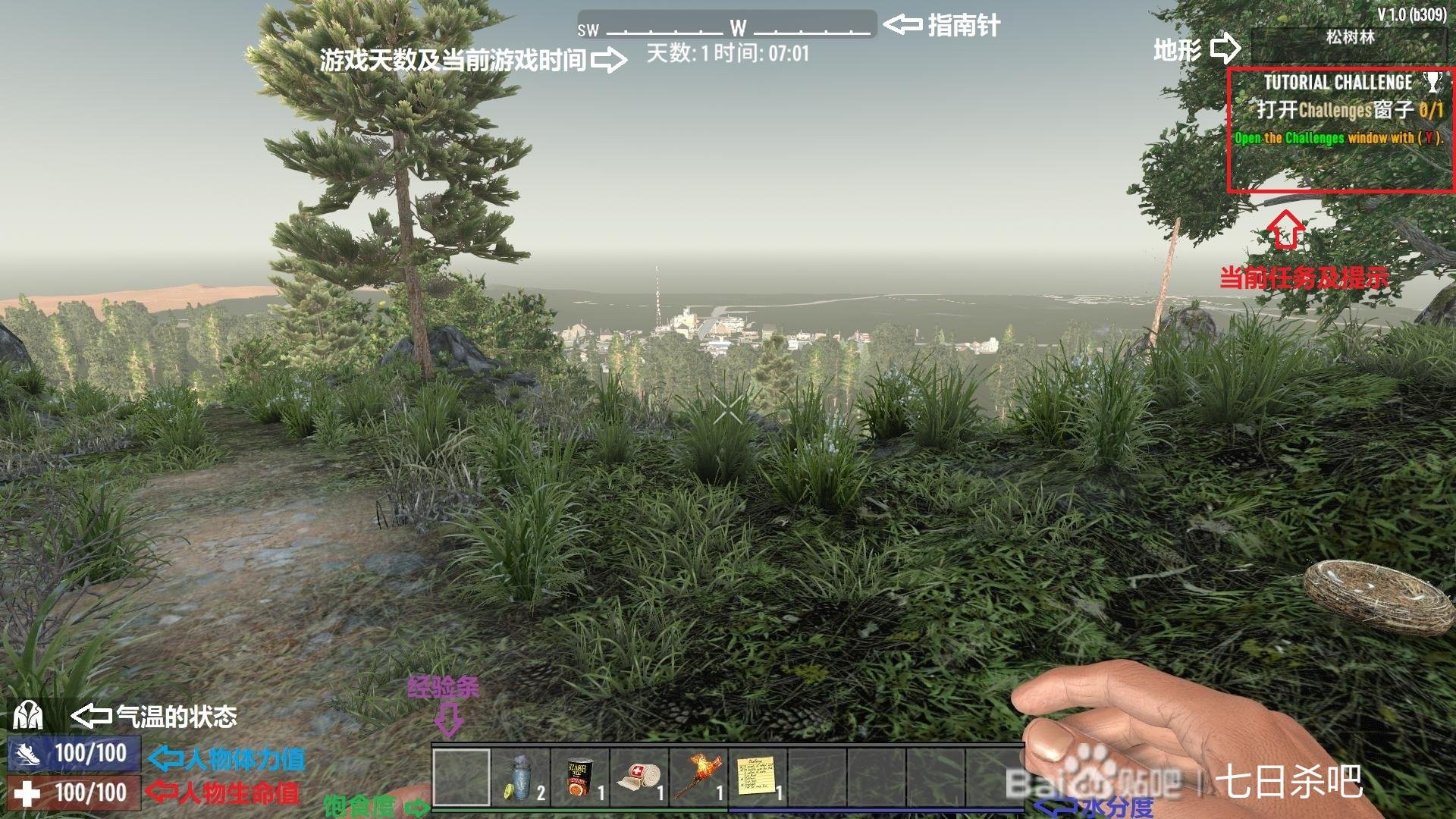 巫师3：狂猎 完整版 截图8