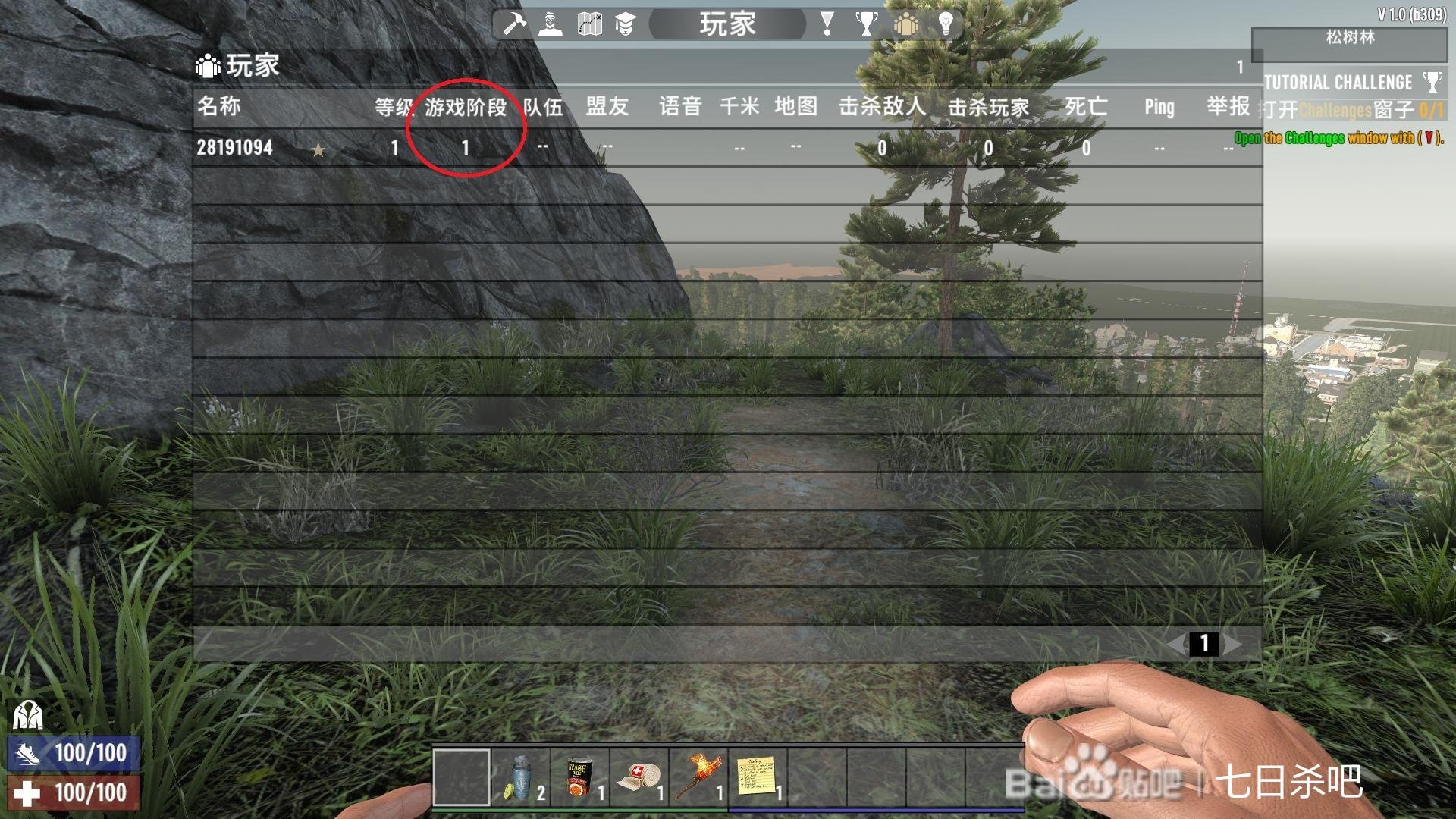 泰拉瑞亚 豪华版 截图3