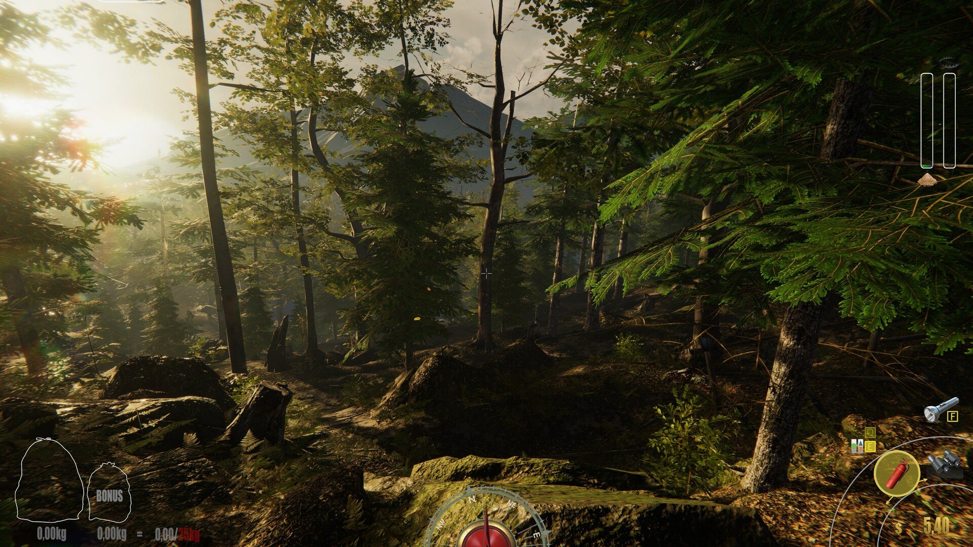 瓦尔海姆 豪华版 截图21